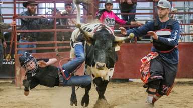 The Kids Taking the Bull by the Horns