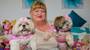 Pampered Pooches: Owner Spends £30,000 Spoiling Her Shih-tzu