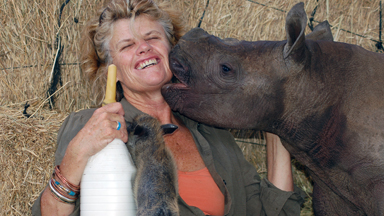 Saving the Black Rhino: Newborn Gives hope to the species
