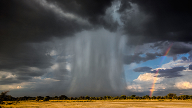Blown Away: Powerful Storm Thunders Over Botswana To Welcome In The Rainy Season