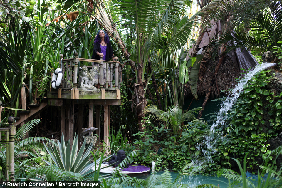 Grandmother Faces Eviction From ‘Paradise’ Treehouse