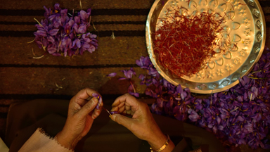 The 'Saffron Town' Of India Provides World With The Most Expensive Spice