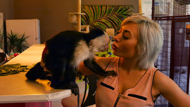 I Treat My Monkey Like A Baby