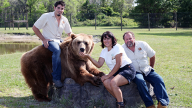 Family Live With 13 Bears In Their Backyard