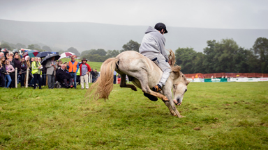 All Kicking Off: UK's Last Rodeo At Llanthony Valley Show