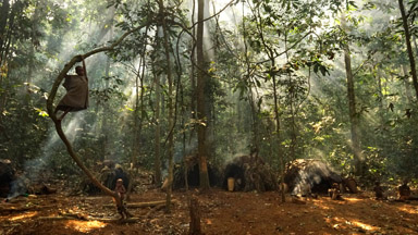 Baka tribe of central Africa struggle for survival