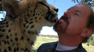 Man Reunites With Cheetah After A Year Apart