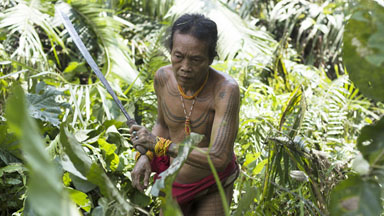 A glimpse inside Indonesia's Mentawai tribe