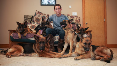 Leader Of The Pack: Dog Whisperer Walks With Six Dogs Untethered