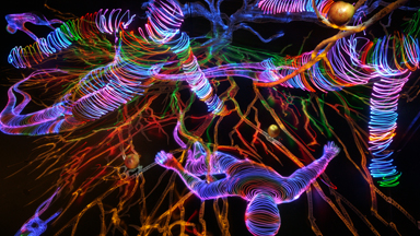 Creatures Of The Night: Artist Paints Otherworldly Figures With LED Lights