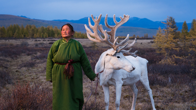 Photographer tracks nomadic family living with reindeers