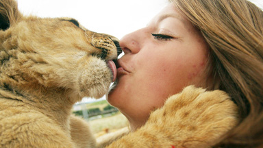 Mane Attraction: Visitors Pet Animals at Slovakia Zoo