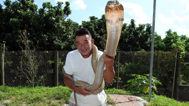 Living Dangerously: Man Shares Home With 60 Deadly Snakes