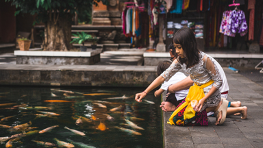 The ancient holy waters of the Tirta Empul Temple