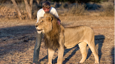 Mane Attraction: Man Cuddles and Kisses Huge Pet Lion