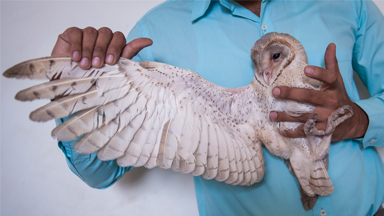 Saving Wildlife in The 'World's Most Polluted City'