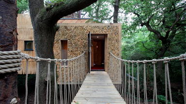 Take a look Inside The Luxury $200,000 Treehouse