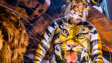 Dancing Tigers: Performers transform their bodies into big cats at religious festival