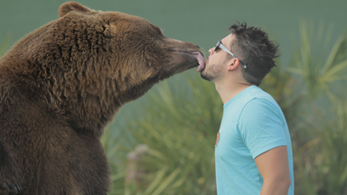 We Share Our Home With 14 Bears