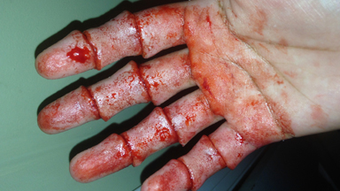 A Teen Creates Horror Lifelike Creations With Special Effects Make Up
