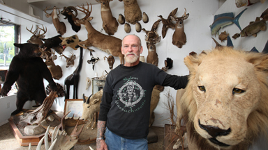 Memory Of The Hunt: New York City's Oldest Taxidermy Business