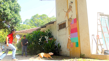 Jumping Dogs: Champion Pitbull Can Leap Up Four Metre Walls