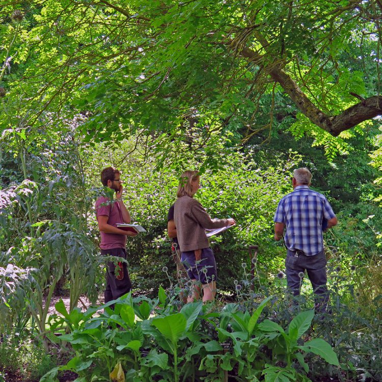 About the Garden