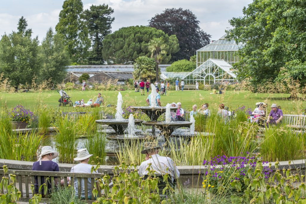 A lush garden scene at Cambridge University Botanic Garden, featuring a circular pond with a fountain in the foreground. People are seated on benches and walking in the area. There are colourful flowers and tall grasses surrounding the pond, with greenhouses visible in the background.