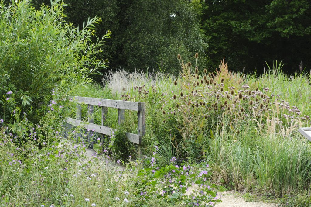 The Fen Display is a small bridge over a body of water.