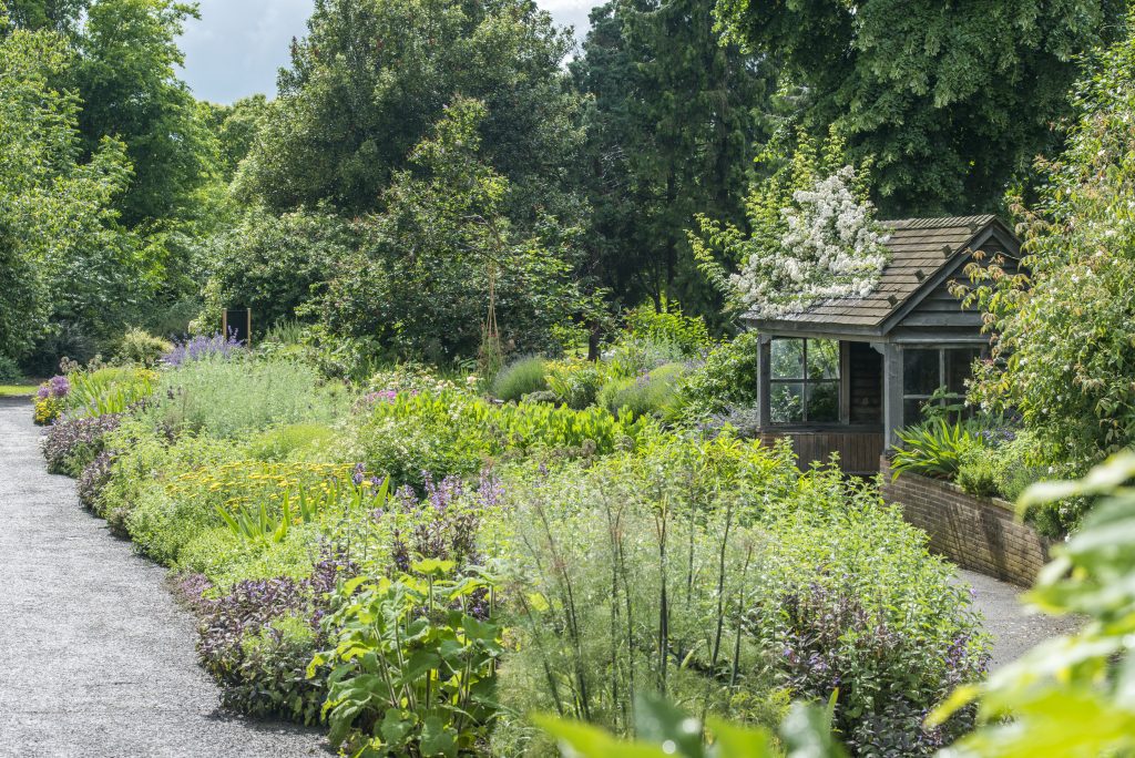 Scented Garden Cambridge Botanic Garden