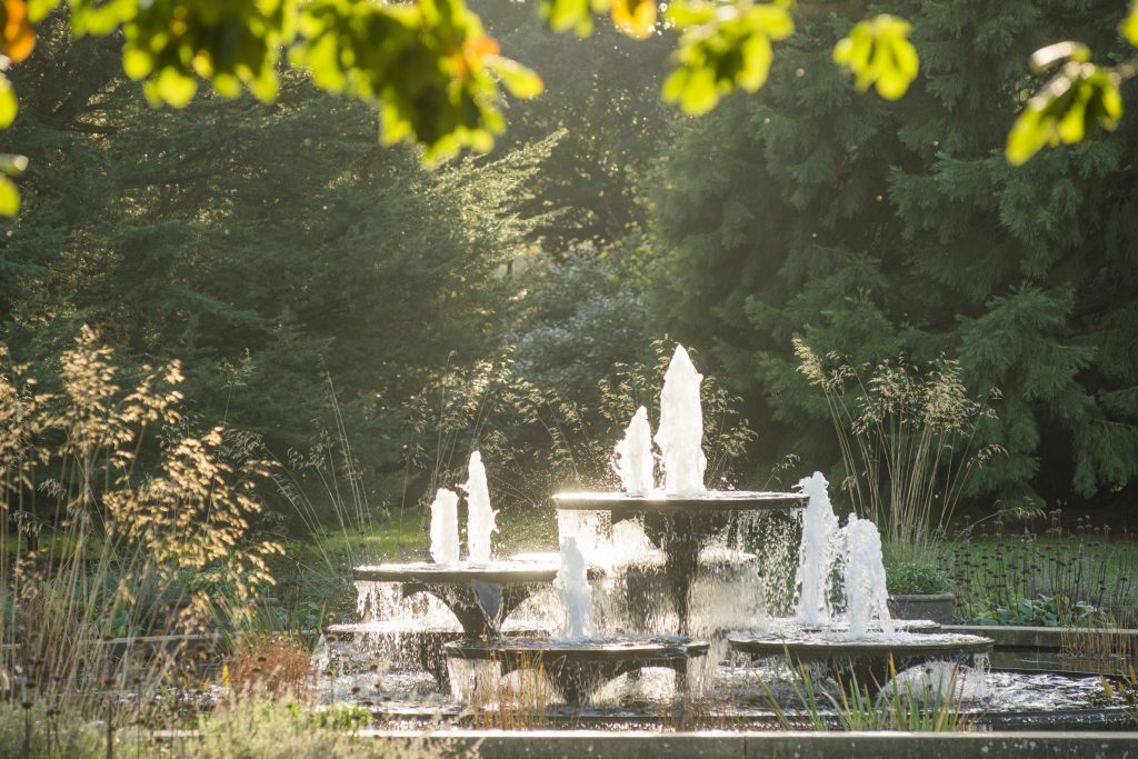 The fountain in Autumn.