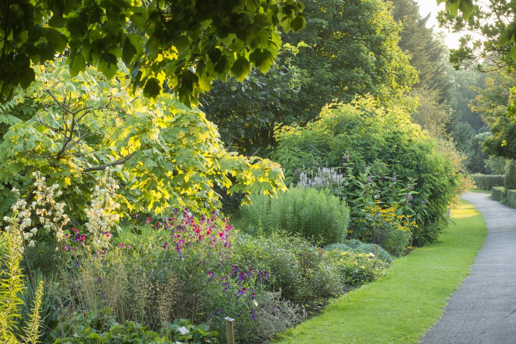 A path running alongside the Chronological Bed, which is growing flowers of various shapes, sizes and colours.