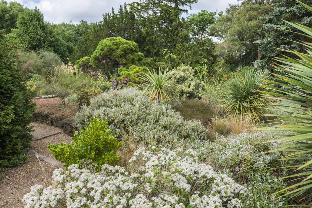 Textured plantings in the Terrace Garden. Flowers, shrubs and trees.
