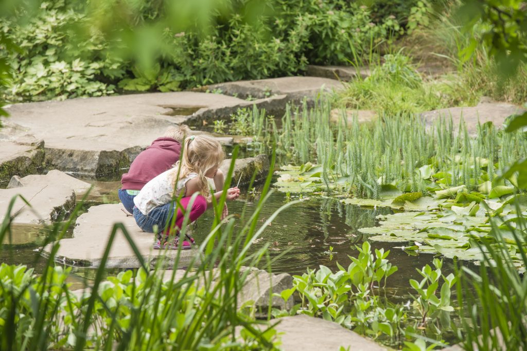 Children playing on lake stepping stones Cambridge Botanic Garden