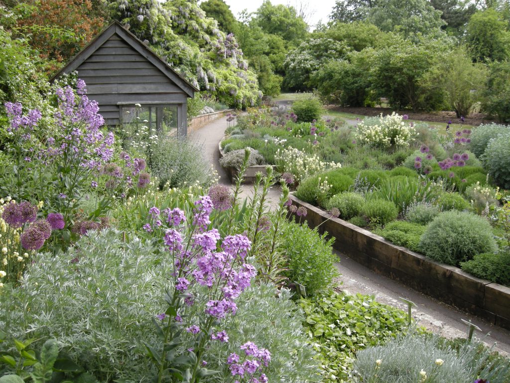 The Scented Garden Cambridge Botanic Garden