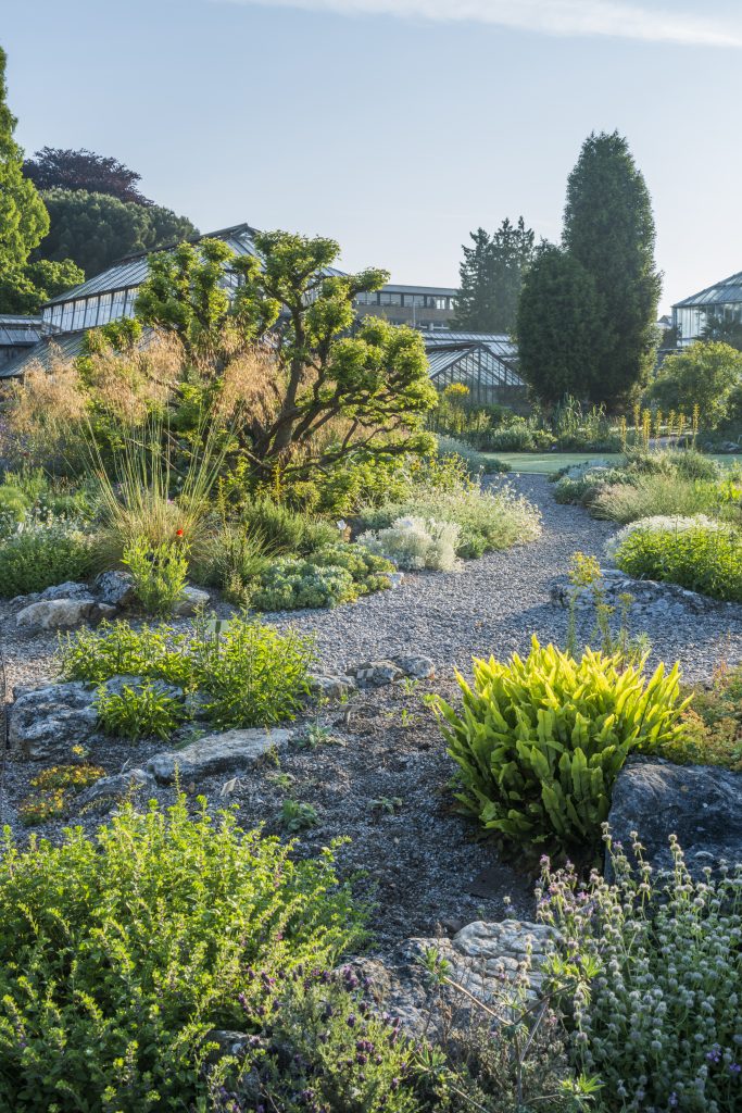 Mediterranean Beds in front of the Glasshouses.