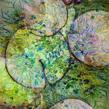 'Lily Pads' by Cathryn Baldock, winner of the Abstract Views category.