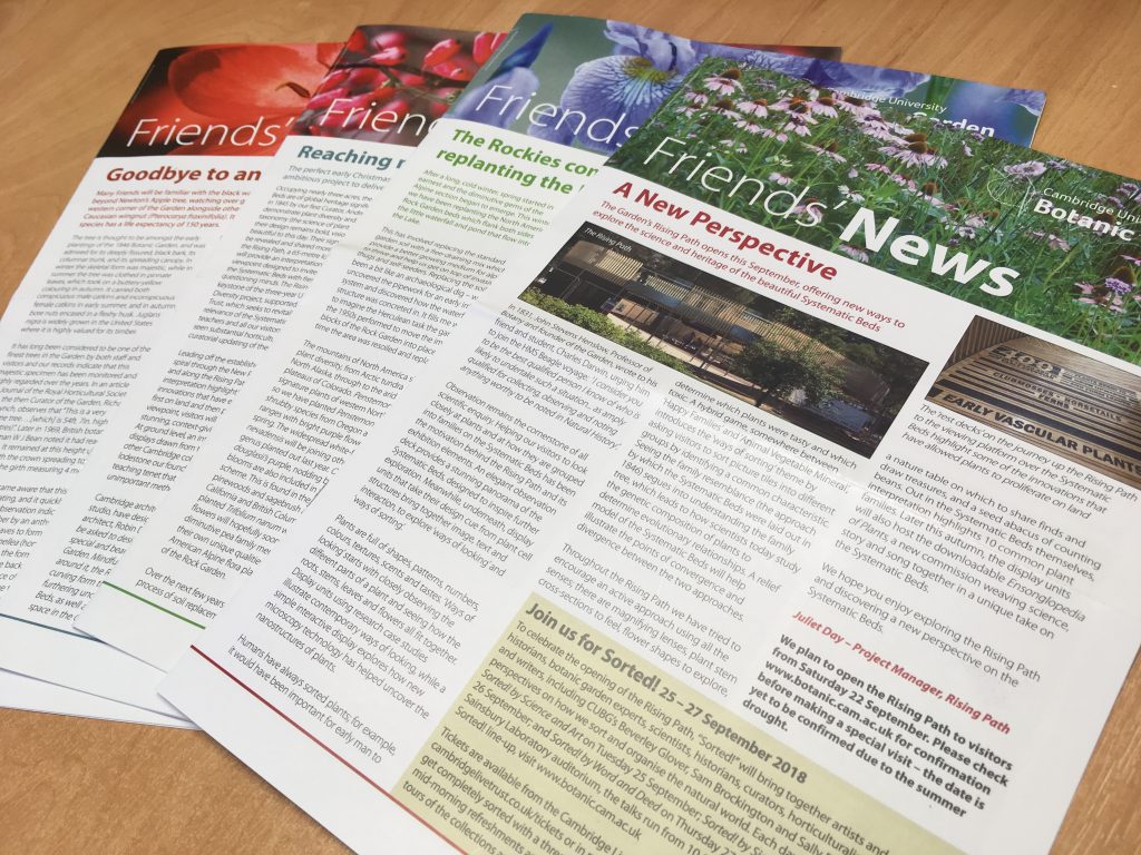 An assortment of Friends' Newsletters on a table.