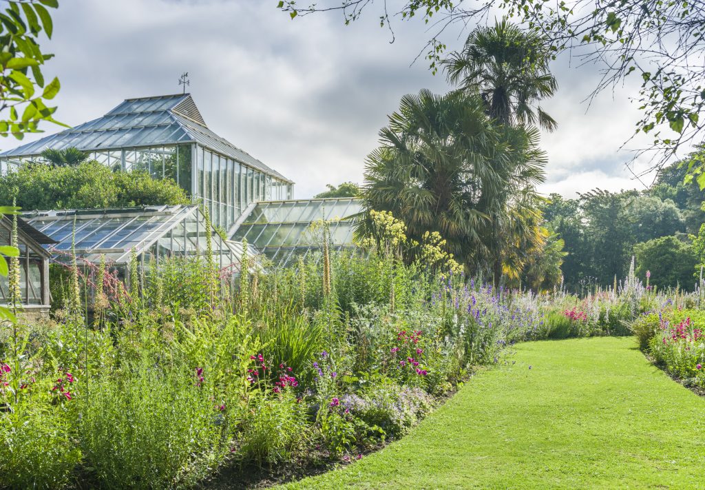 The Bee Borders in June.