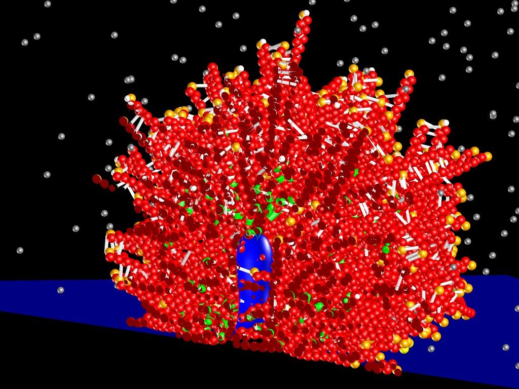 Living cells are made of a myriad of molecules