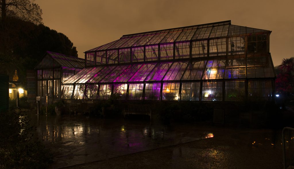 Twilight in the Glasshouse Range.