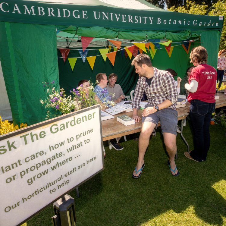 Ask the Gardener Twitter Takeover!