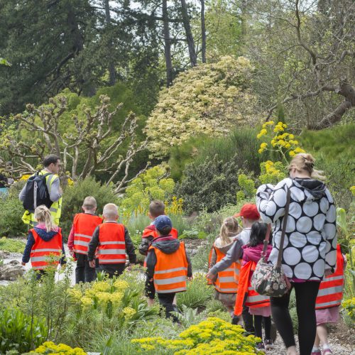 Volunteering at the Garden