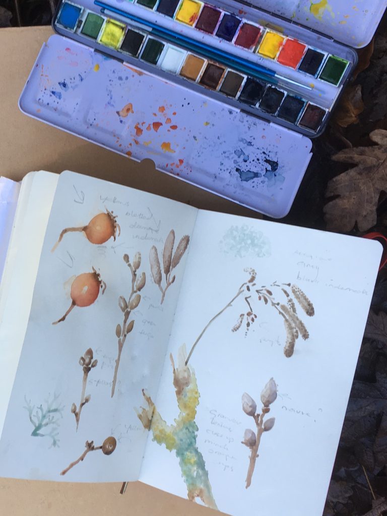 Botanial watercolour.