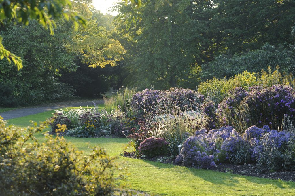 The Herbaceous Beds
