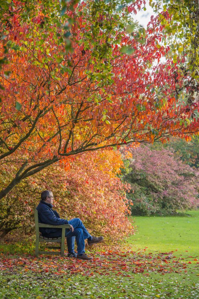 Visitors enjoying the garden in the autumn.