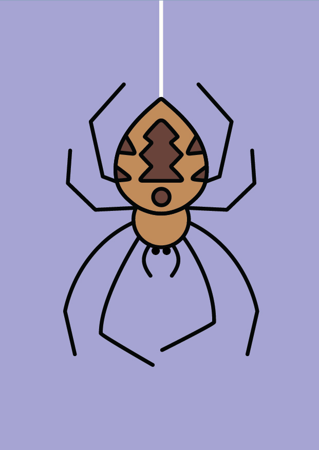 Spider crafts