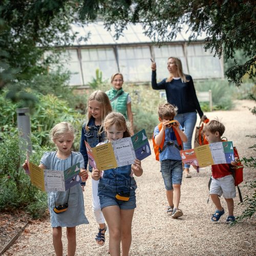 Family Learning Coordinator