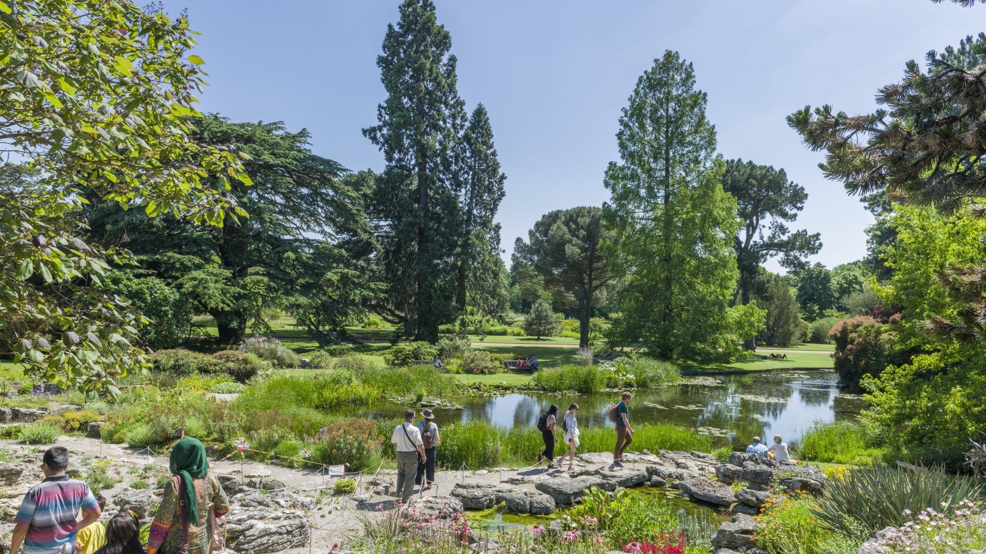 Visitors in the Schools' Garden