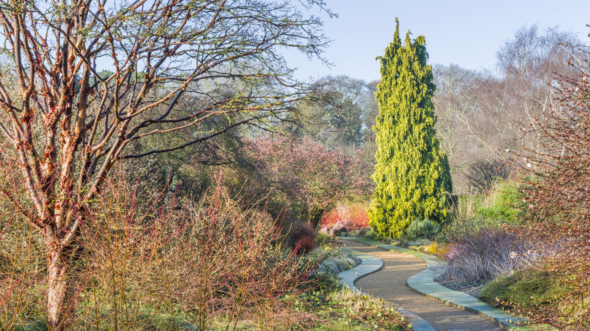 A frosty day along the winding path of the Winter Garden